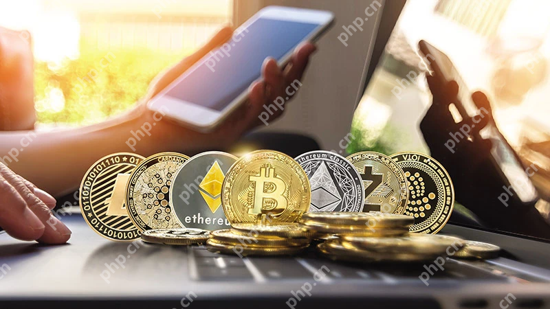 币圈黑话大全:新手必懂的20个术语 - php中文网